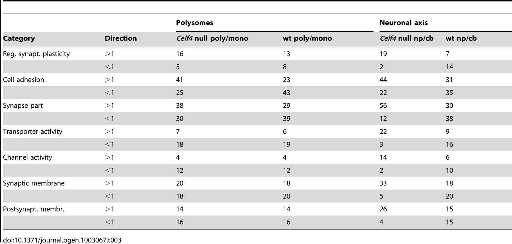 Number of genes in select enriched GO categories: Relative abundance in <i>Celf4</i> null versus wild type.