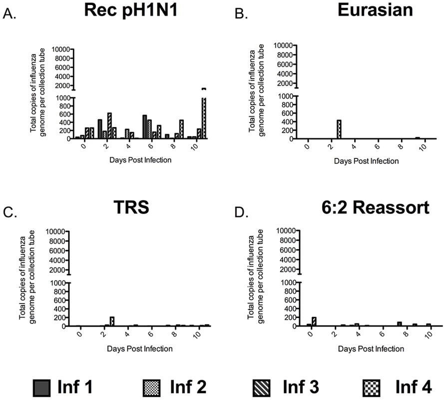 Ferrets infected with the recombinant pH1N1 virus release submicron particles containing influenza virus.