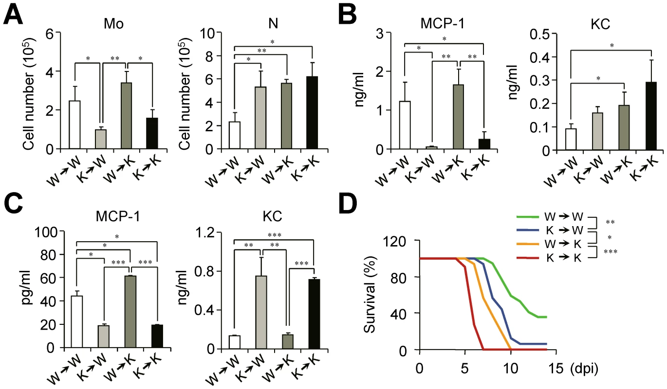 IFN-I signaling on hematopoietic cell lineage helps protect mice from lethal influenza infection.
