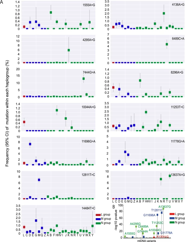 Frequency of disease causing mtDNA mutations in each macro-haplogroup.