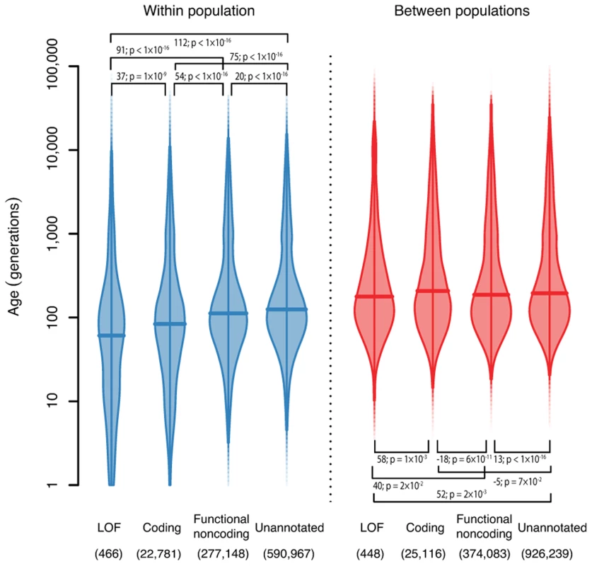 The ages of haplotypes around  variants with different functional annotations.