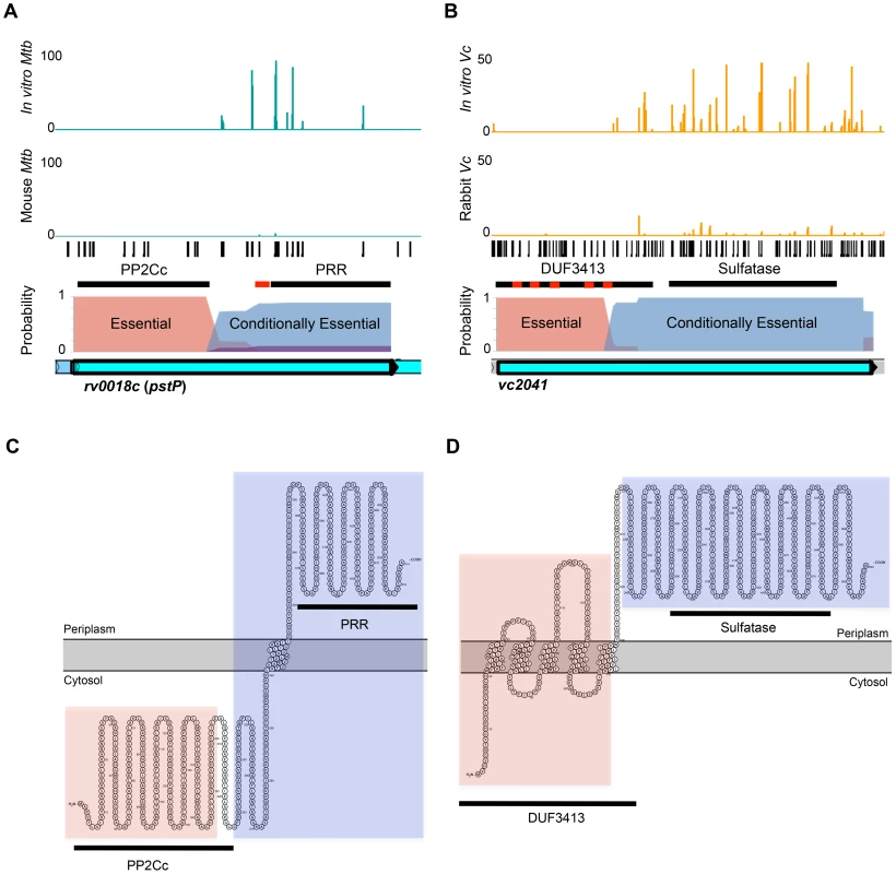 Con-ARTIST identifies conditionally essential regions required for host infection at sub-genic resolution.