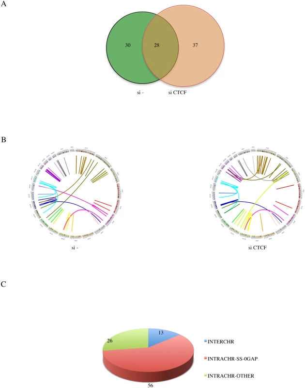 Landscape of software-identified chimeric RNAs.