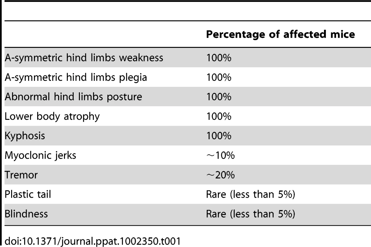 Clinical signs by order of appearance.