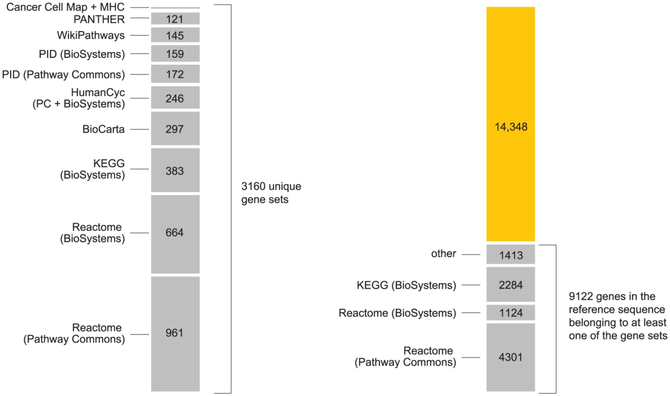 Summary of pathways used in the analysis.