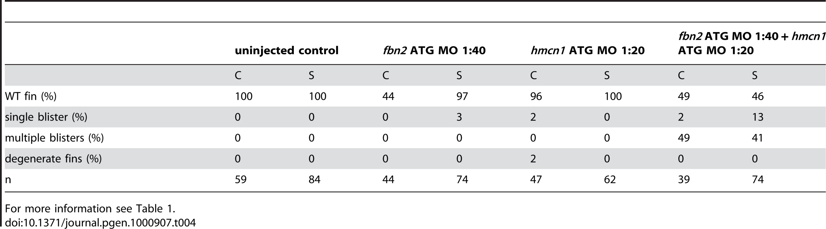Synergistic interaction between <i>fbn2</i> and <i>hmcn1</i>.