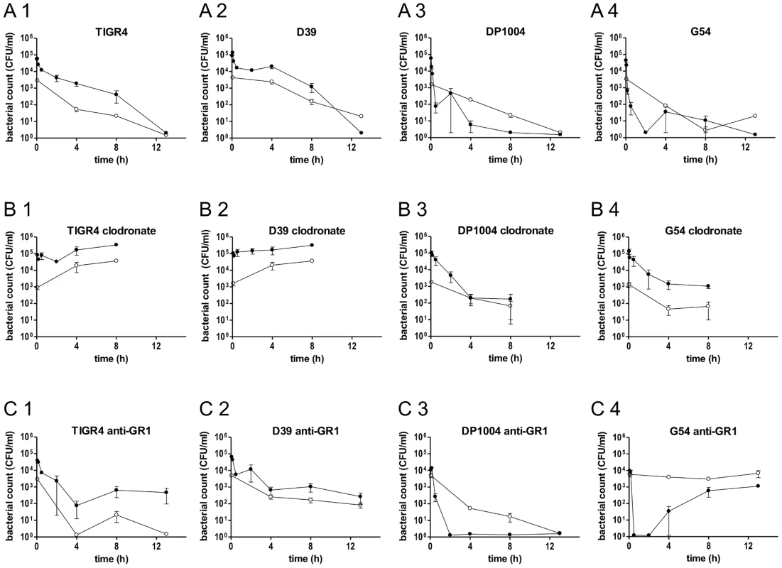 Bacterial counts in blood and spleen of BALB/c mice depleted of neutrophils or macrophages.