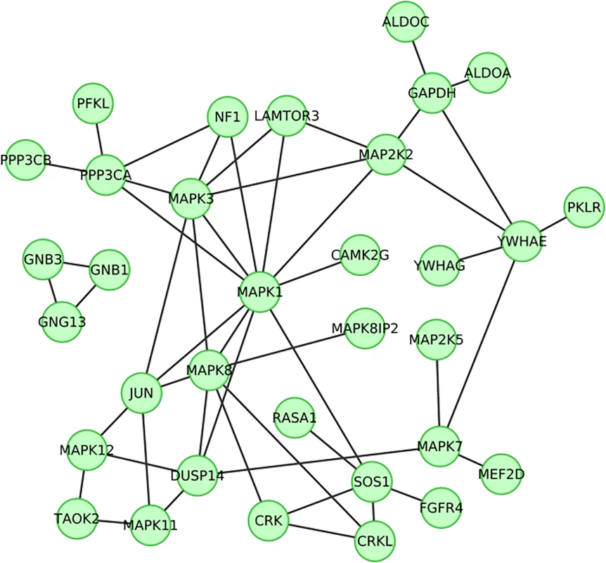 Clusters of 33 genes whose products have known protein-protein interactions copy changed among 34 (22%) of 154 patients with intellectual disability.