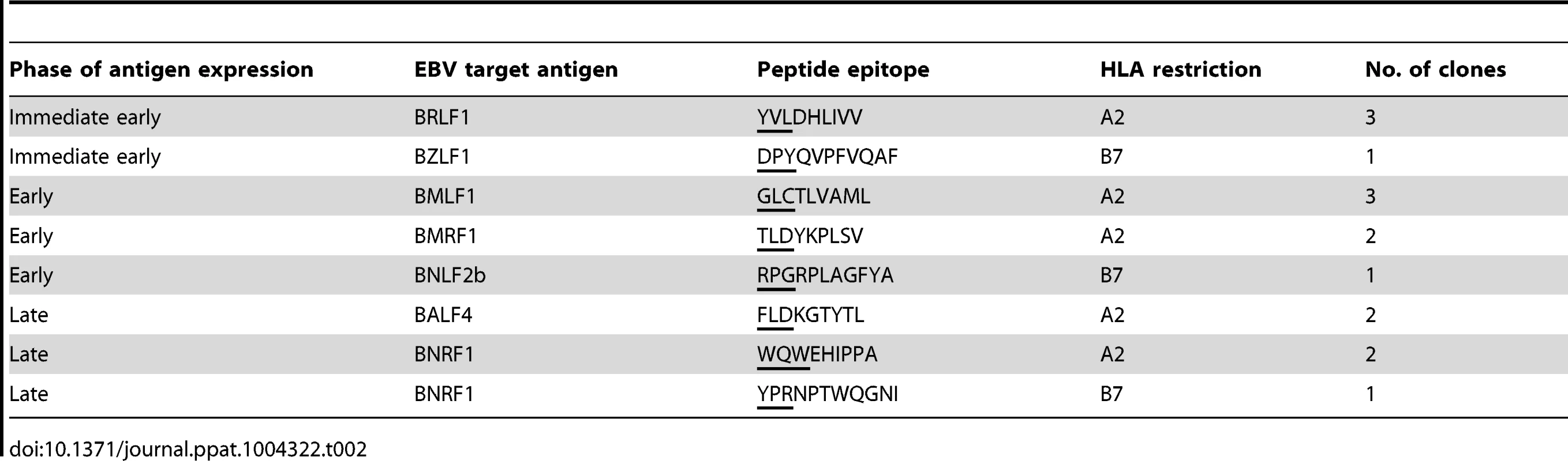 Target specificity of T cells used in recognition assays.