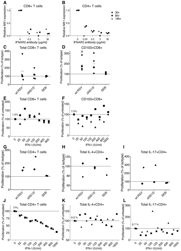 Role of IFN-I in the proliferation of CD8+ and CD4+ T cells.