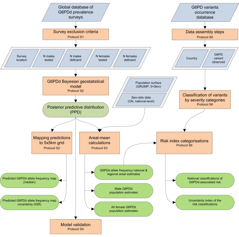 Schematic overview of the procedures and model outputs.