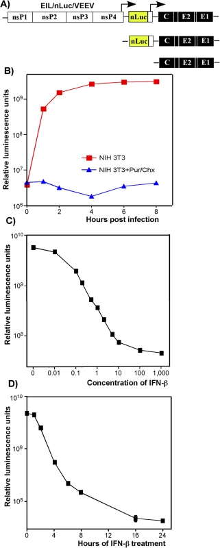 Type I IFN pretreatment inhibits nLuc expression in vertebrate cells in time- and concentration-dependent mode.