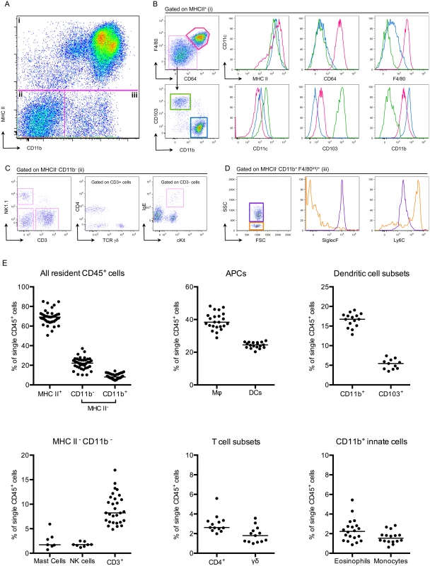 The bladder contains a diverse immune cell repertoire.