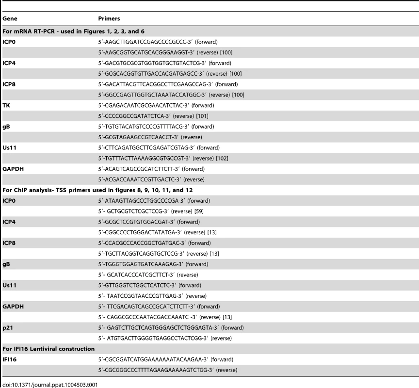 Primers used in this study.