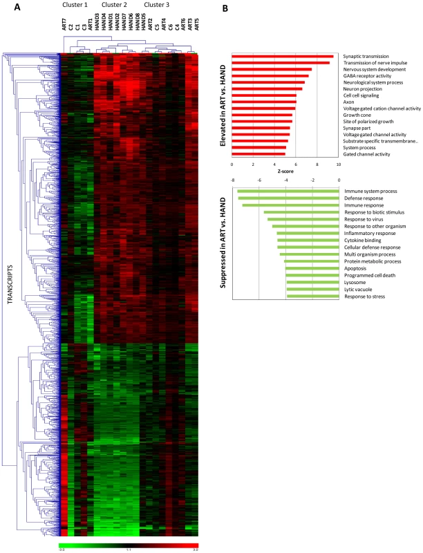Extent and kind of differences in brain cell gene expression in untreated HAND patients and HAND patients receiving ART.