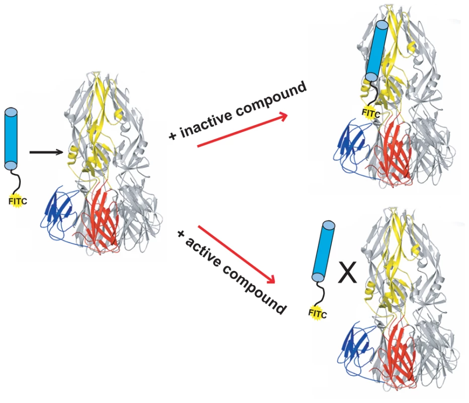 Schematic of high-throughput screening platform.