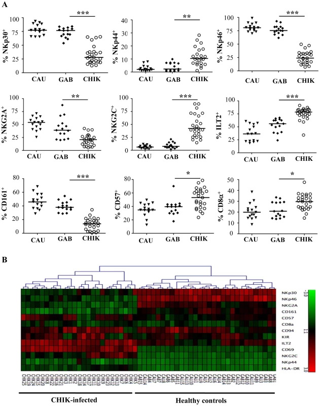 Patterns of specific NK receptors on CD3<sup>-</sup>CD56<sup>+</sup> NK cells from CHIKV-infected patients.