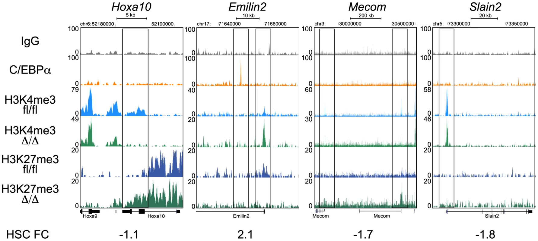 ChIP-seq analysis of H3K4me3 and H3K27me3 in <i>Cebpa</i><sup>Δ/Δ</sup> and <i>Cebpa</i><sup>fl/fl</sup> HSPCs.