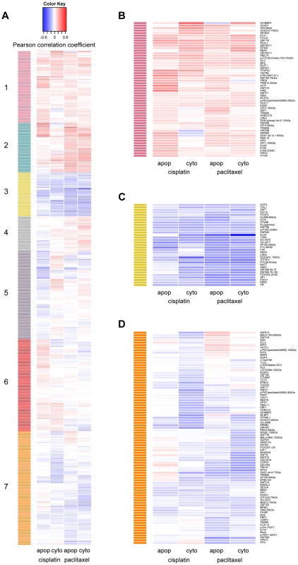 Establishing hierarchical clustering of baseline protein levels correlated with cisplatin and paclitaxel phenotypes.