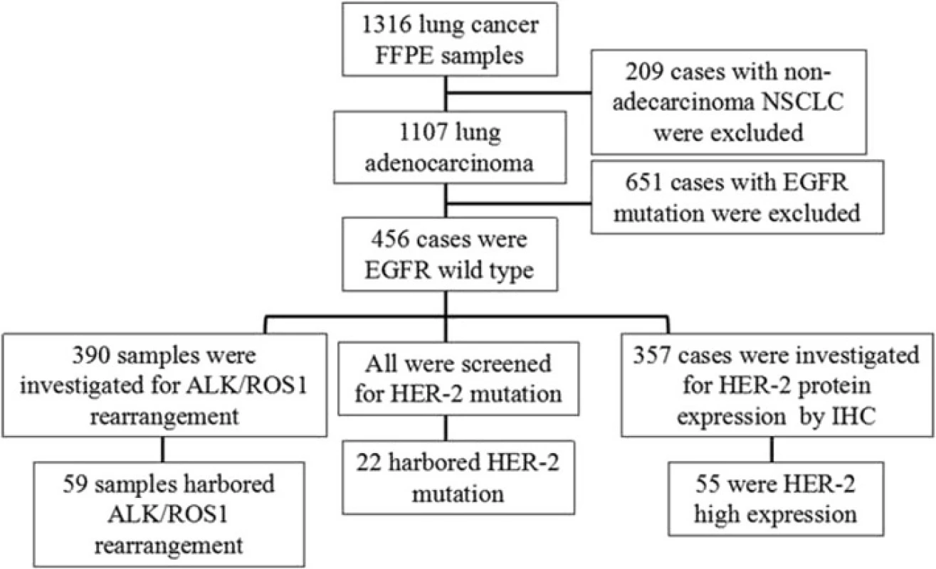 Study design. 456 cases with EGFR wild type were screened from 1316 patients and enrolled in this study