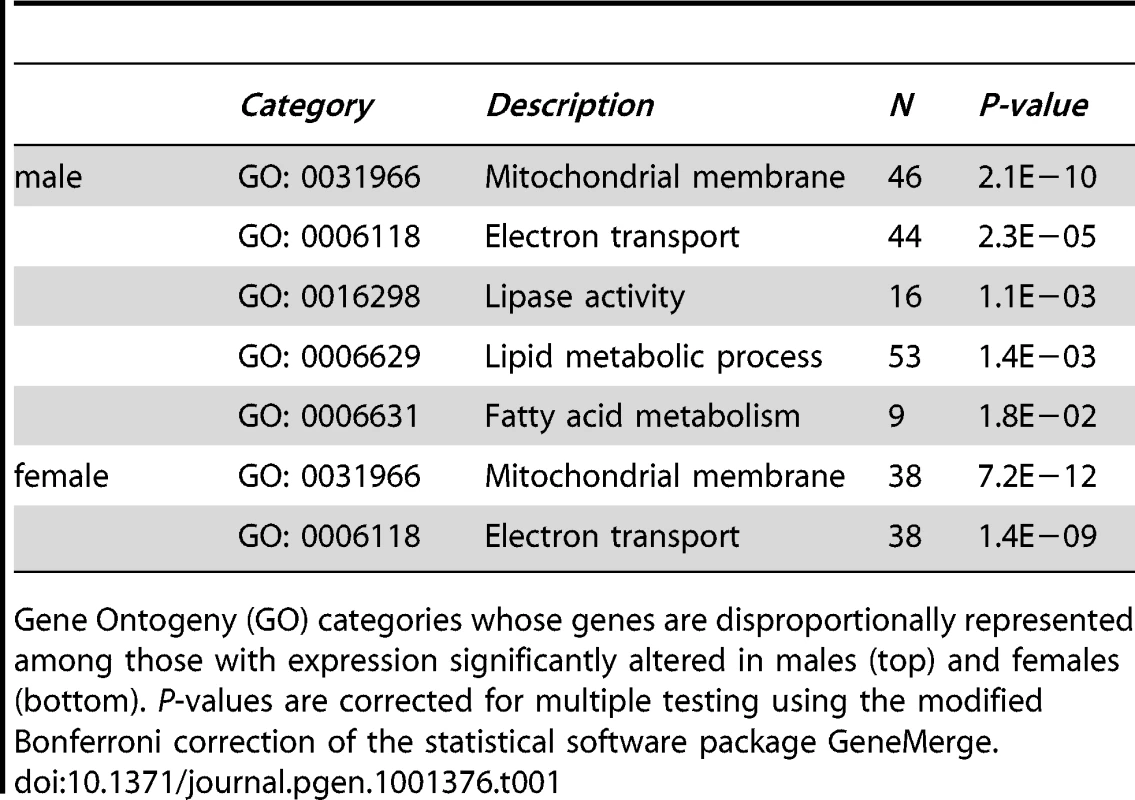 <i>rDNA</i> copy number affects genes related to energy metabolism.
