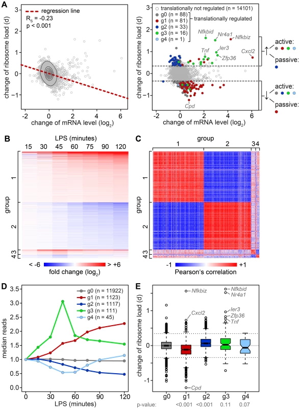 Relation between changes in mRNA levels and changes in translation.