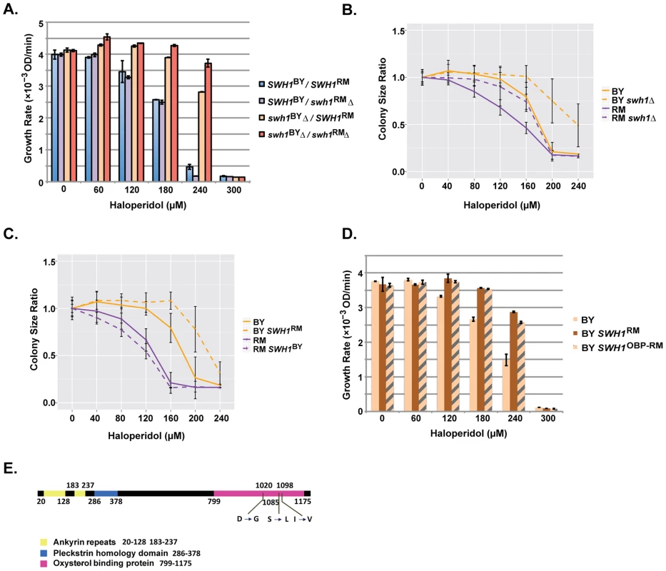 Polymorphisms in the OBP domain of <i>SWH1</i> underlie haloperidol resistance.