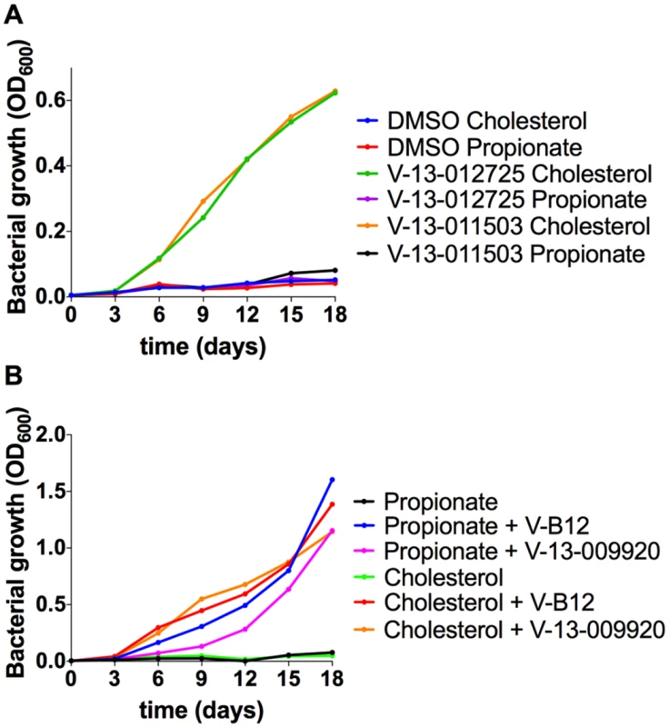 Chemical rescue of Mtb ΔIcl1.