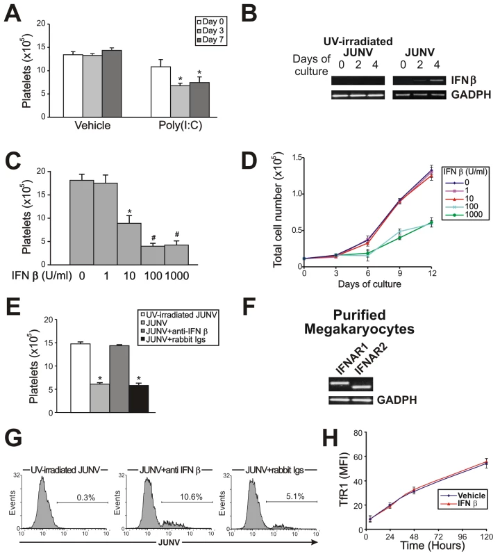 The role of the IFN β pathway in platelet production and JUNV infection.