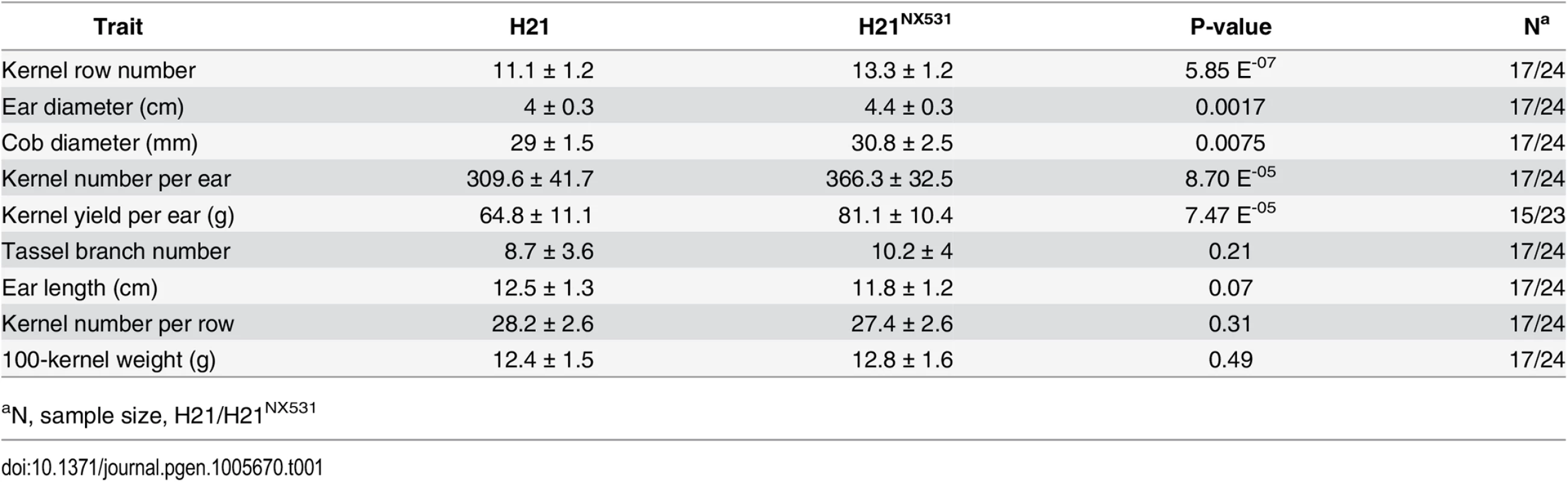 Pleiotropic effects of <i>KRN4</i>.
