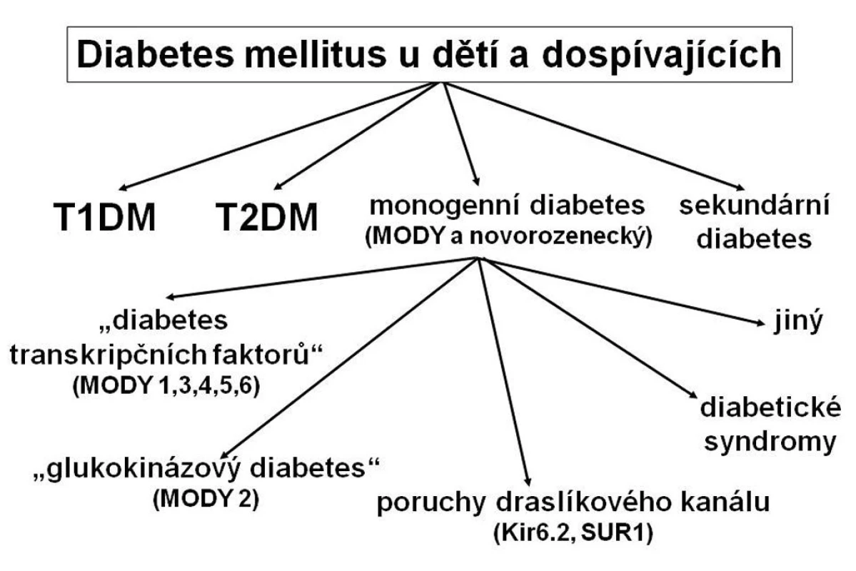 Typy diabetu u dětí a dospívajících. Řada pacientů s monogenním diabetem je mylně klasifikována jako diabetes mellitus 1. typu, případně 2. typu, protože tyto typy diabetu jsou známější. Správné zařazení typu diabetu pomáhá určit optimální terapii i dlouhodobou prognózu nemoci.
T1DM – diabetes mellitus 1. typu
T2DM – diabetes mellitus 2. typu
MODY – maturity-onset diabetes of the young