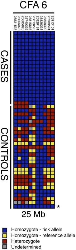 Haplotypes in CFA6 region 25 Mb.