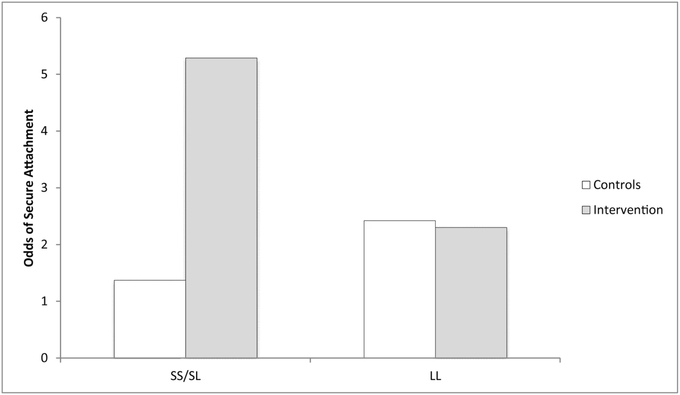 Odds of secure attachment when the 5HTTLPR genotype × home-visiting intervention interaction is taken into account.