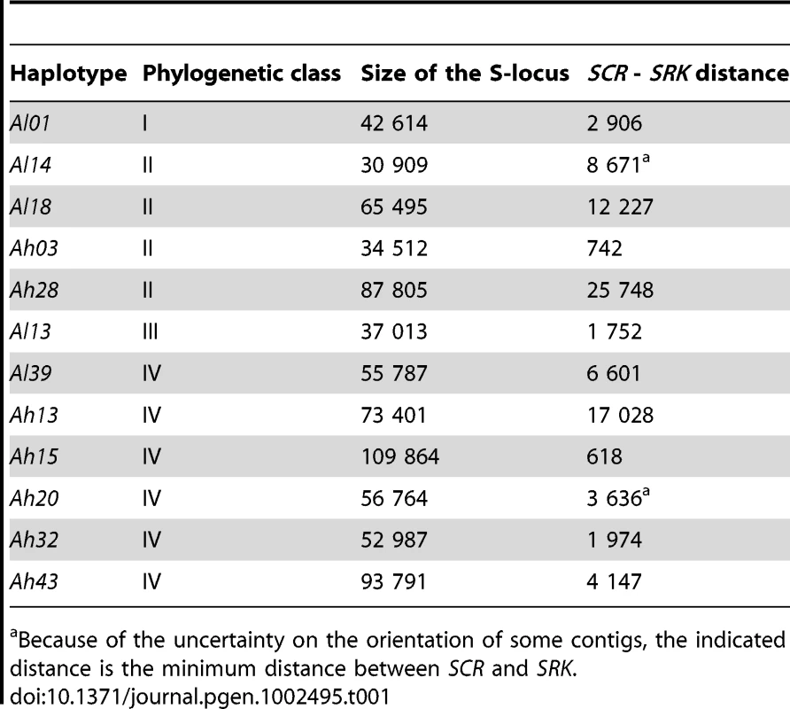Description of the different haplotypes.