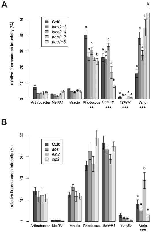 Different community compositions were detected on the cuticle and ethylene mutants.