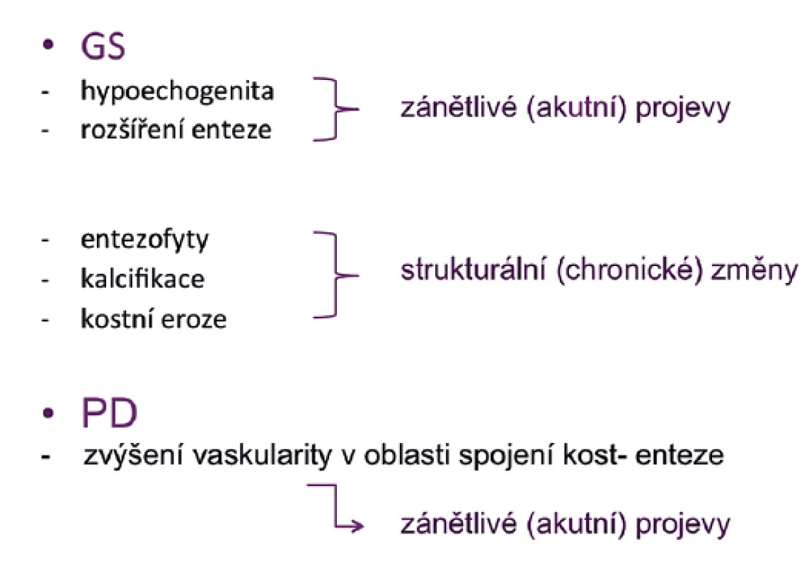 Rozdělení akutních a chronických ultrazvukových nálezů.