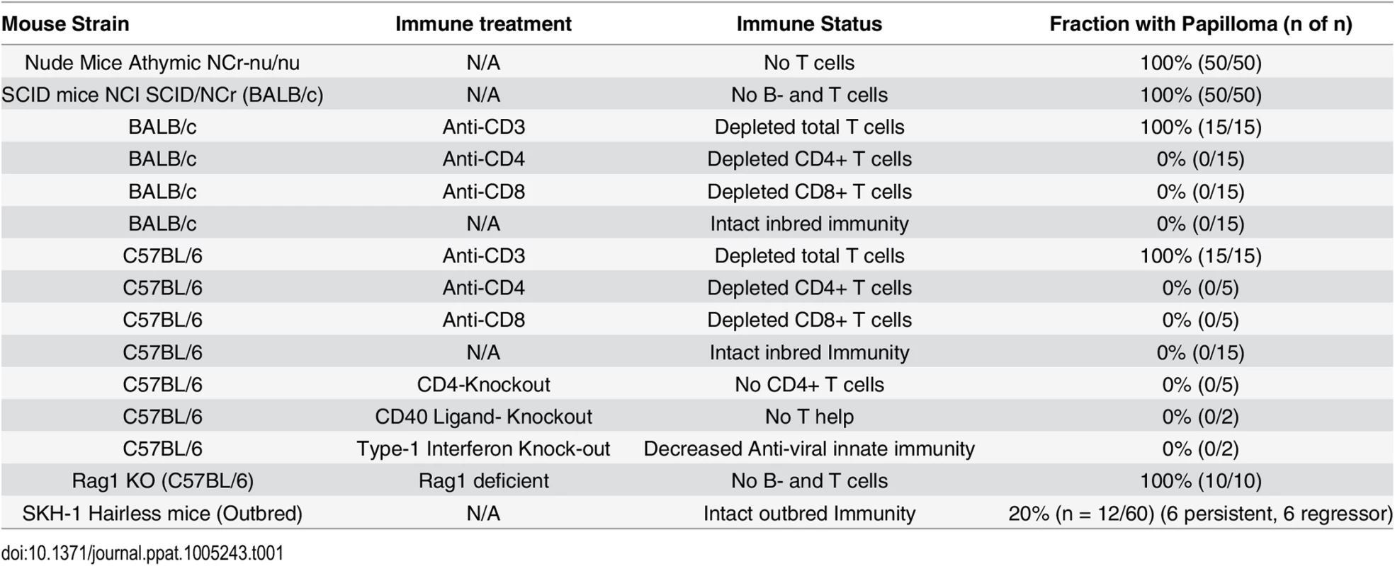 Papilloma formation following MusPV1 challenge of mice with respect to strain, genetic knock out and immune depletion