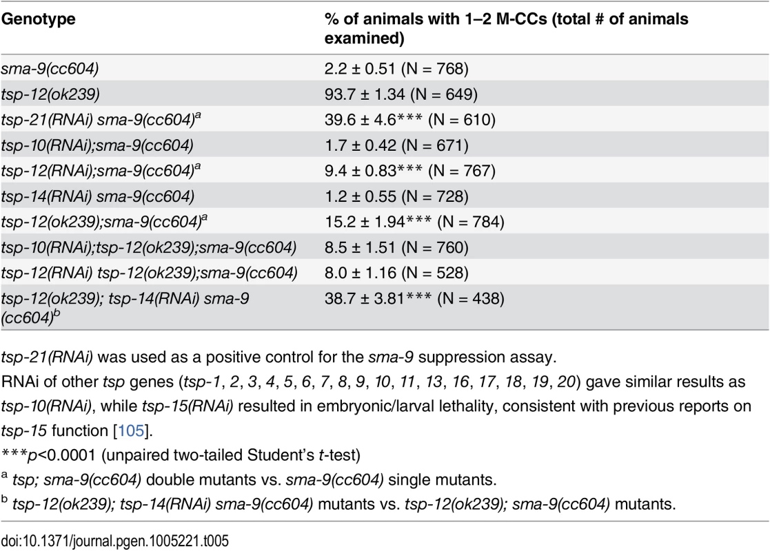 TSP-12 and TSP-14 function redundantly to promote Sma/Mab signaling.