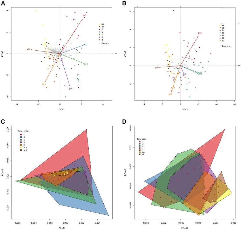 Directionality in taxonomic and functional change through time.