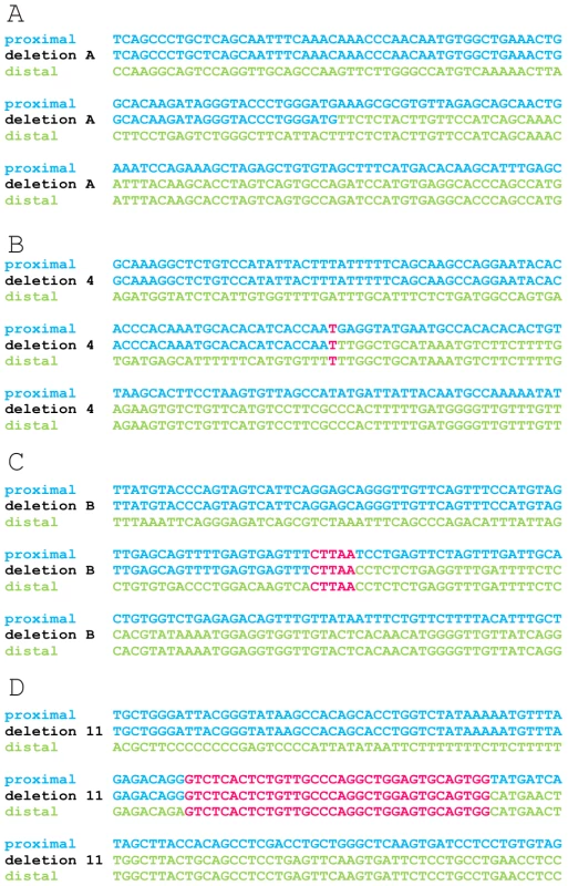 Multiple sequence alignment of 4 exemplary junctions.