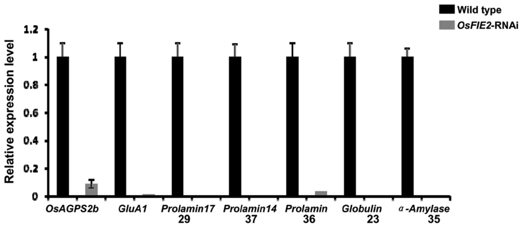 Quantitative real-time PCR analyses of gene expression in the storage protein and starch synthesis pathways in the <i>OsFIE2</i> RNAi and wild-type endosperm.