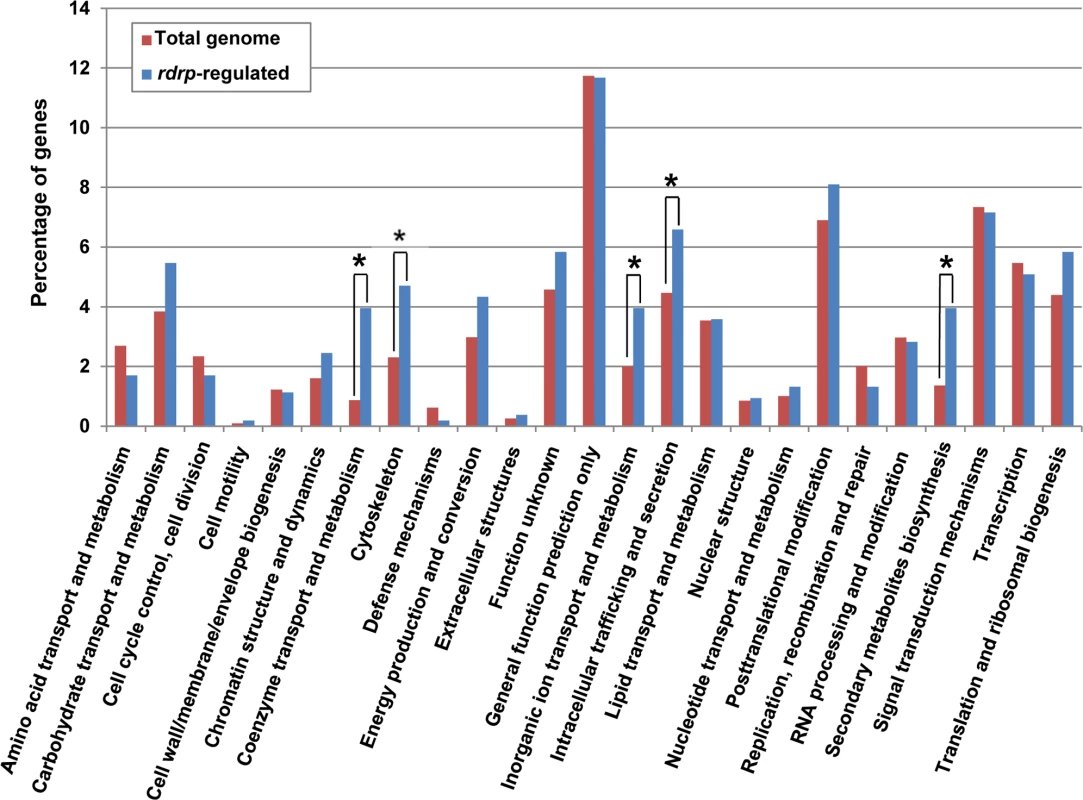 KOG classification of genes regulated by the <i>rdrp</i>-dependent <i>dicer</i>-independent rdRNAs.