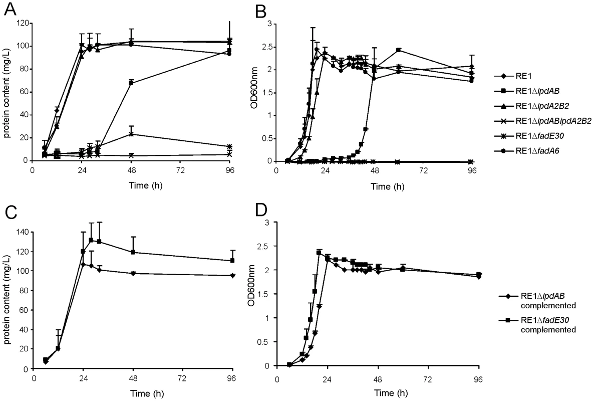 Growth curves of wild type, mutant and complemented mutant strains of <i>R. equi</i> RE1 in mineral medium supplemented with 4-androstene-3,17-dione (AD) or 3aα-H-4α(3′-propionic acid)-5α-hydroxy-7aβ-methylhexahydro-1-indanone (5OH-HIP) as a sole carbon and energy source.