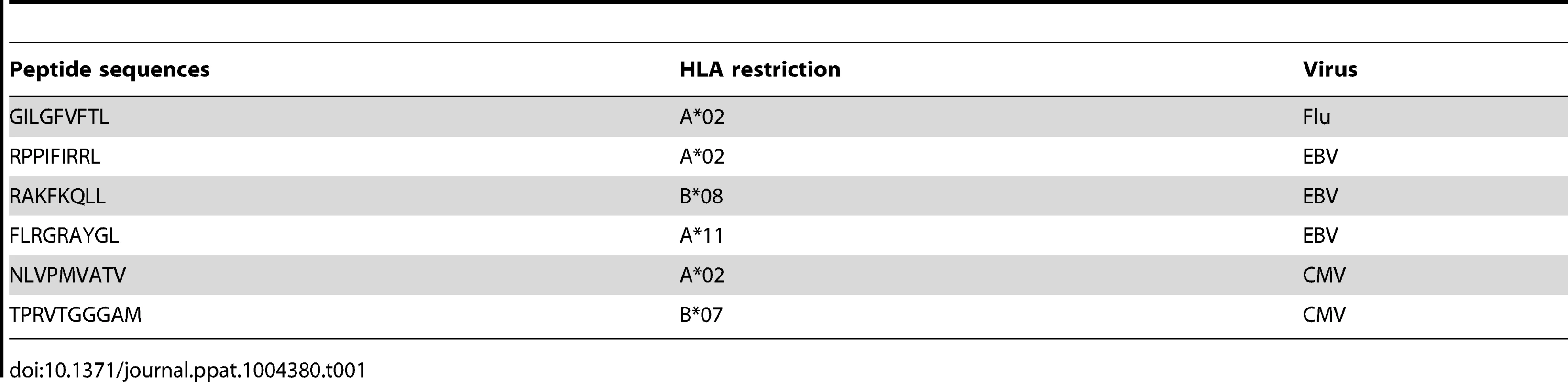 Sequences of peptides used for CD8 T-cell stimulations and multimer staining.