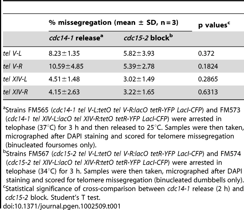 Telomeres of chromosome arms other than cXIIr barely missegregated after a <i>cdc14-1</i> release.