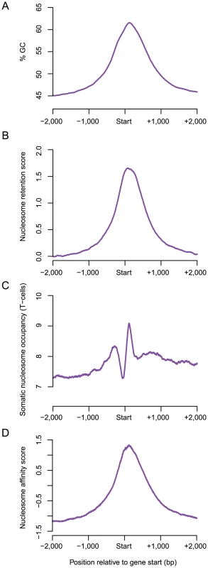 The characteristic GC-content signature of human genes account for sperm nucleosome retention at transcription start sites.