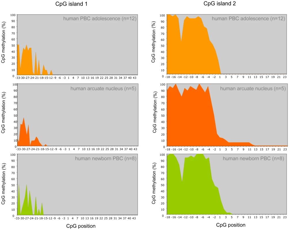 <i>POMC</i> DNA methylation pattern of CpG island 1 and 2 in normal-weight adolescents (n = 12), laser-microdissected MSH positive cells of the human arcuate nucleus (n = 5) and human newborn samples (n = 8).