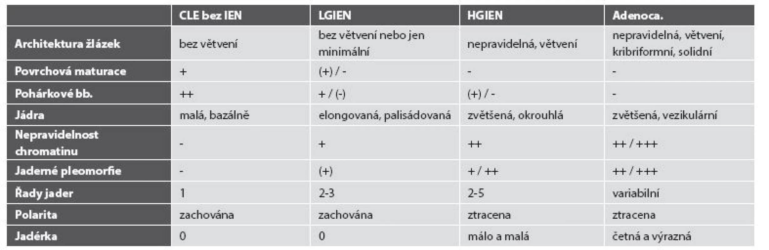 Morfologické znaky intraepiteliální neoplázie a adenokarcinomu jícnu.