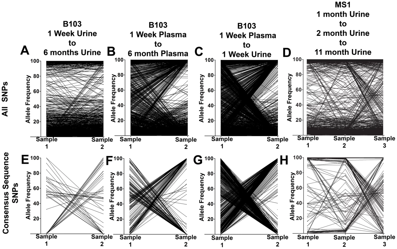 HCMV populations show patterns of both stability and differentiation.