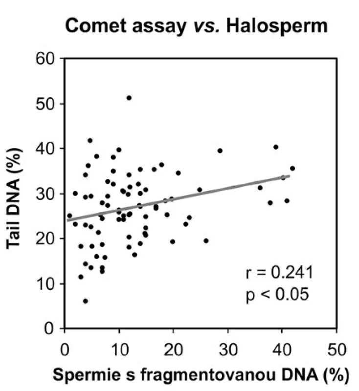 Korelace mezi výsledky kometového testu a testu na disperzi chromatinu (Halosperm), r = Pearsonův korelační koeficient 
Fig. 3. Correlation between the results of comet assay and chromatin dispersion assay (Halosperm), r = Pearson correlation coefficient